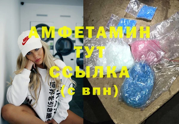 индика Абаза